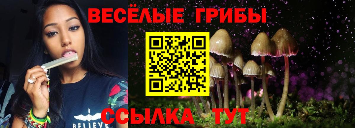 Псилоцибиновые грибы MAGIC MUSHROOMS Воскресенск